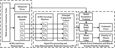 Upper Limb End-Effector Force Estimation During Multi-Muscle Isometric Contraction Tasks Using HD-sEMG and Deep Belief Network